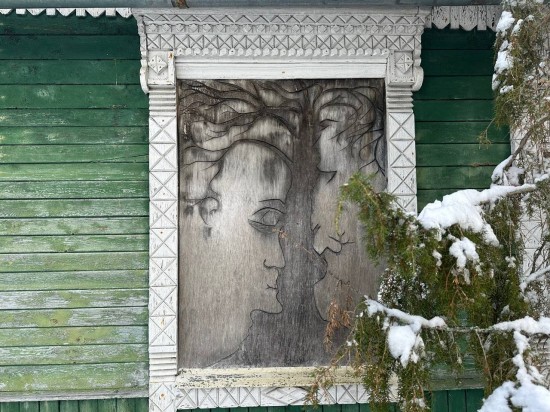 Дом  24 кв.м